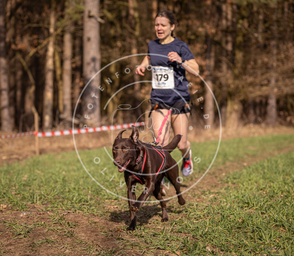 DV3A6467 | Hundefotografie, Tierfotograf, Pfotenfotografie, Fotoshooting Hund, Hunde Portrait, Hundesport, Hundeportraits, Heideshooting, Hunde, Sportfotograf, Hundefotograf, Turnierhundsport, THS,  - Realisiert mit Pictrs.com