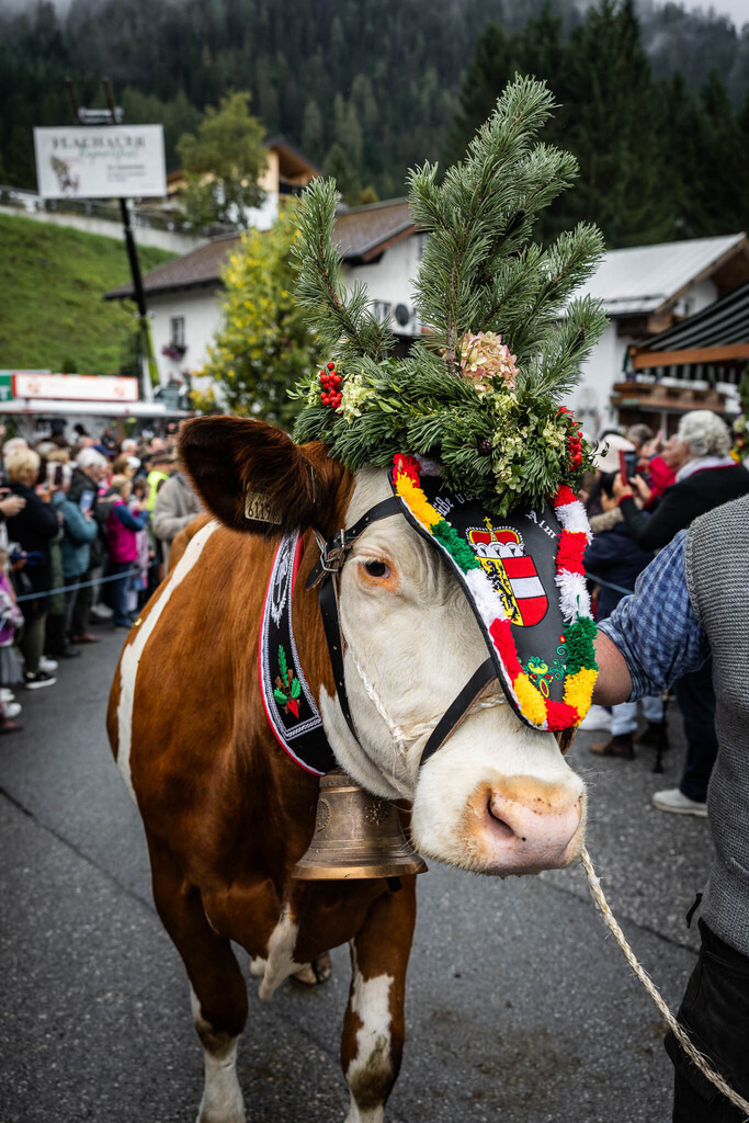 Rupertifest_Flachau_2k25_Webauflösung-349 | Bildershop Chri Fischbacher - Realisiert mit Pictrs.com