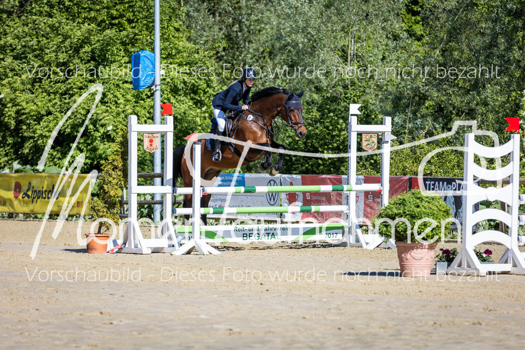 Donop24-A2Spr-014 | MomenTaufnahmen Pferdesportfotos