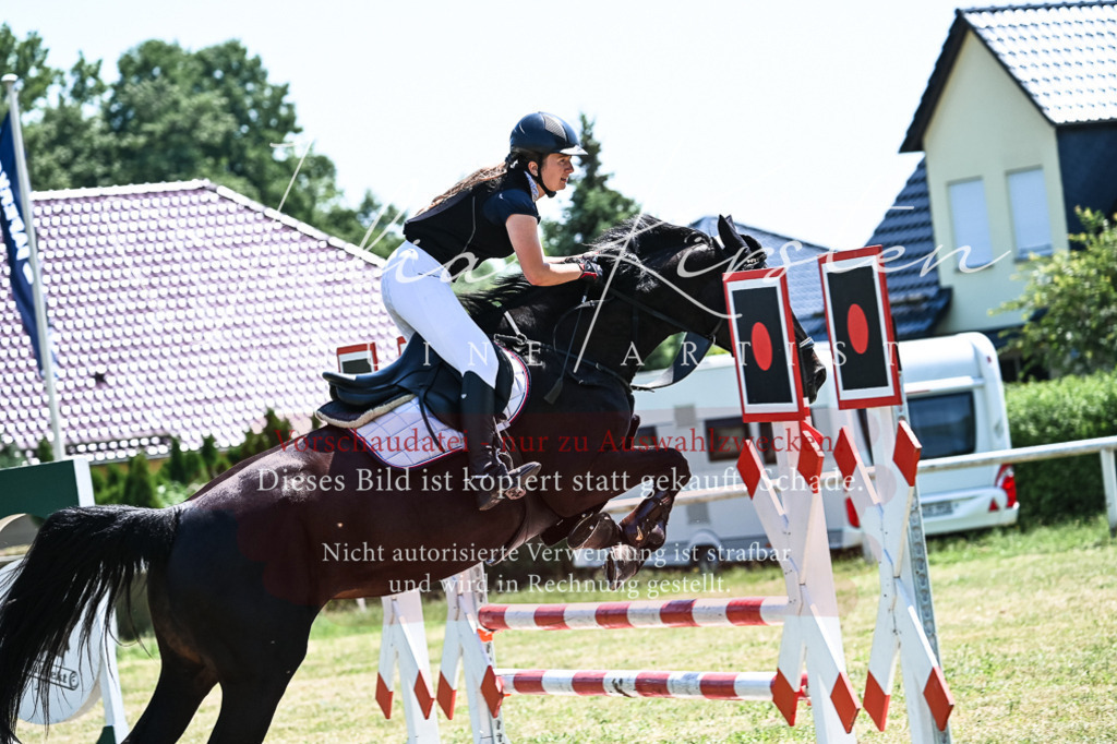 DSC_0501 | Pferde- und Turnierfotografie in Westsachsen. Pferdeportraits, Auftragszeichnungen und intuitive Kunst.