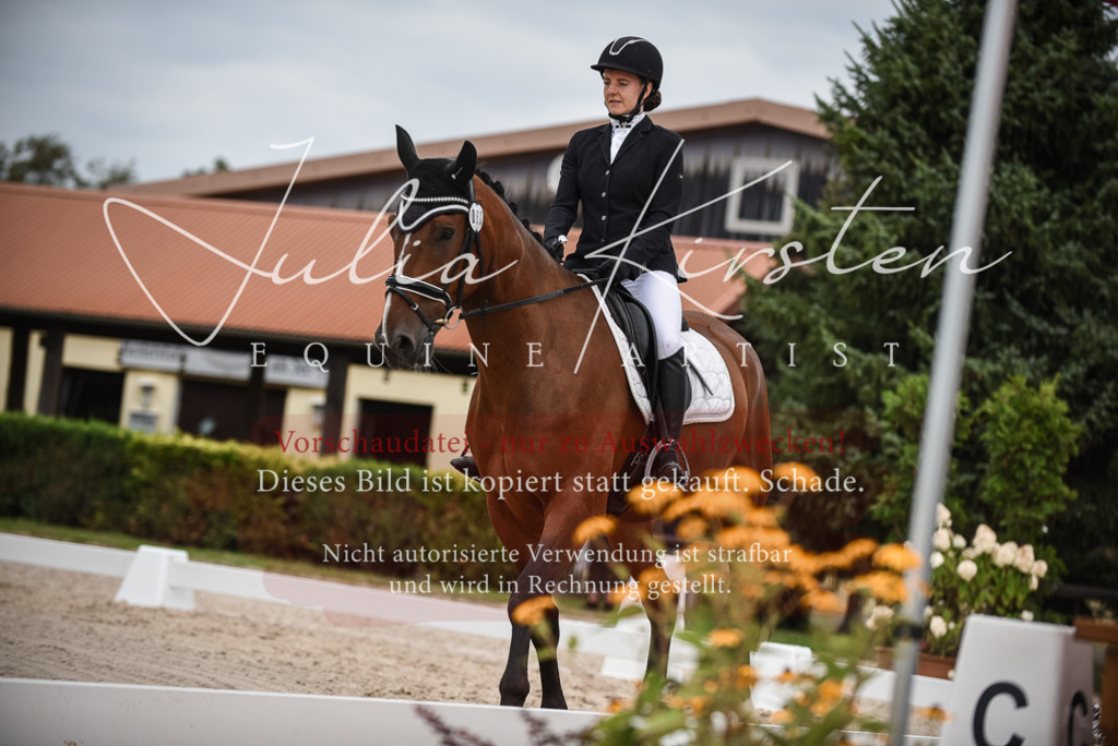 DSC_8052 | Pferde- und Turnierfotografie in Westsachsen. Pferdeportraits, Auftragszeichnungen und intuitive Kunst.
