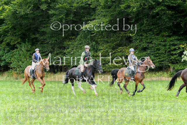 Jagd Perdoel_MarinaHewigMCH04515 | Fotografie, FotoArt, PferdesportArt, Pferdesportfotografie, Landschaftsfotografie, Reisefotografie, Reise, Pferde - Realisiert mit Pictrs.com