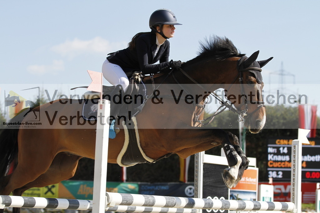 _MG_6787 | equestrian-live-com