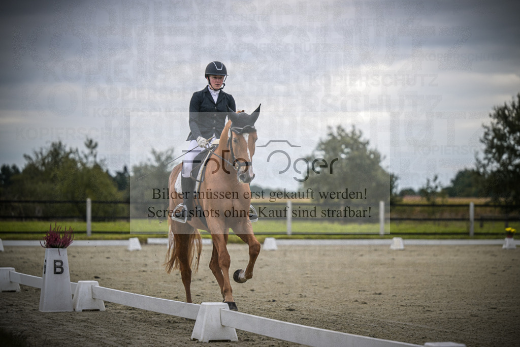 DOS_0298 | Entdecke hochwertige Reitturnierfotos von Foto Oger. Professionell, emotional und authentisch – jetzt Lieblingsmomente im Shop bestellen.Deutschlandweite Turnierfotografie. - Realisiert mit Pictrs.com