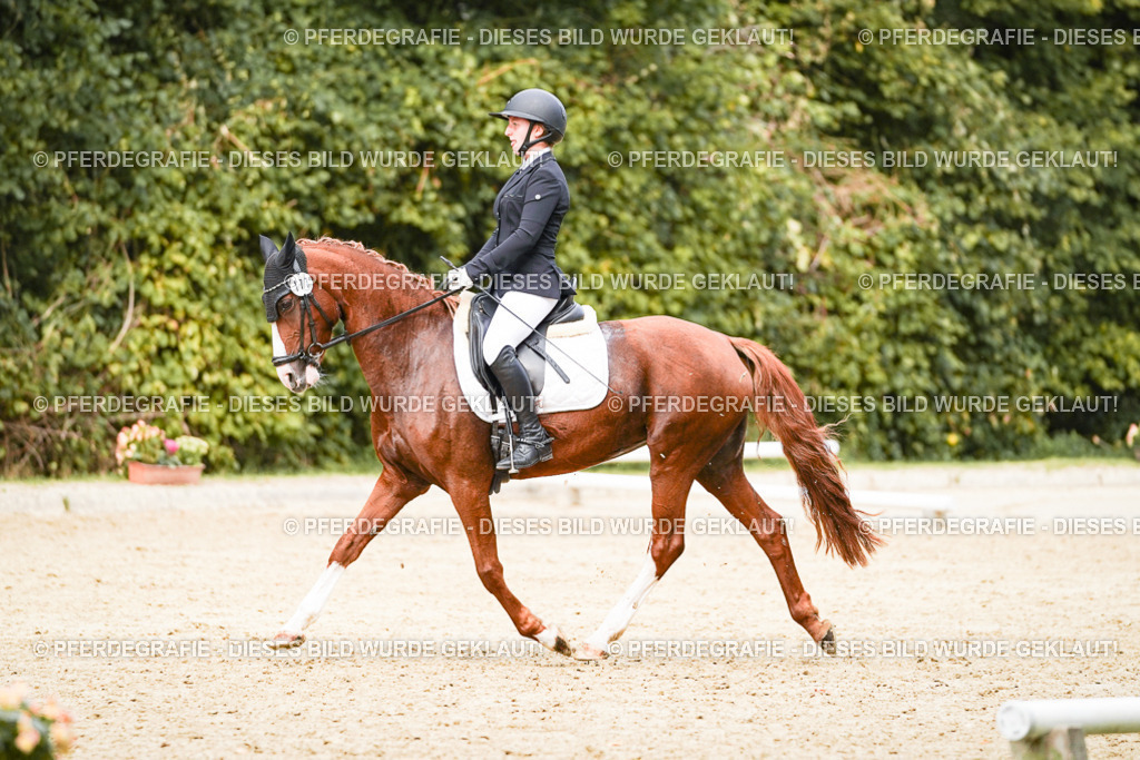 DSC03744 | Pferdegrafie