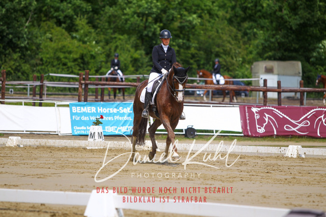 DKP40738 | Turniersportfotografie; Pferdefotografie; Dressurfotografie