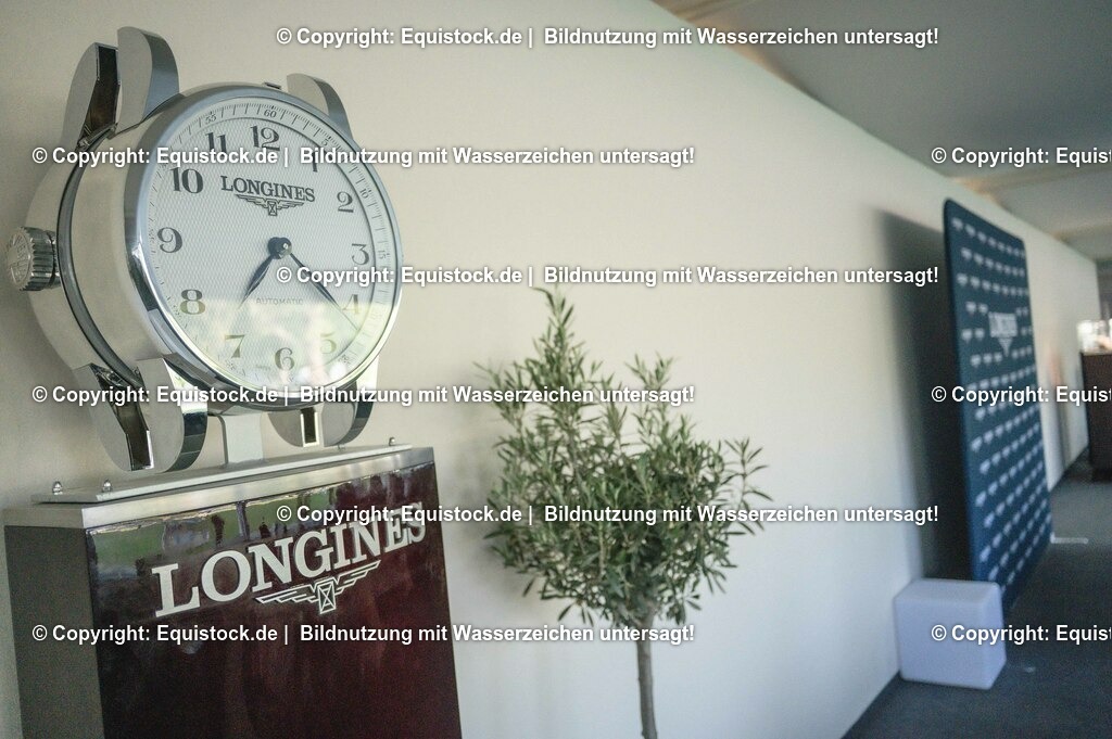 DSC_8699 | equistock