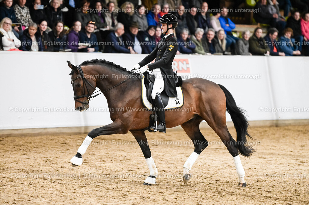 20260307_Hengstvorstellung-Marbach_0390 | equistock