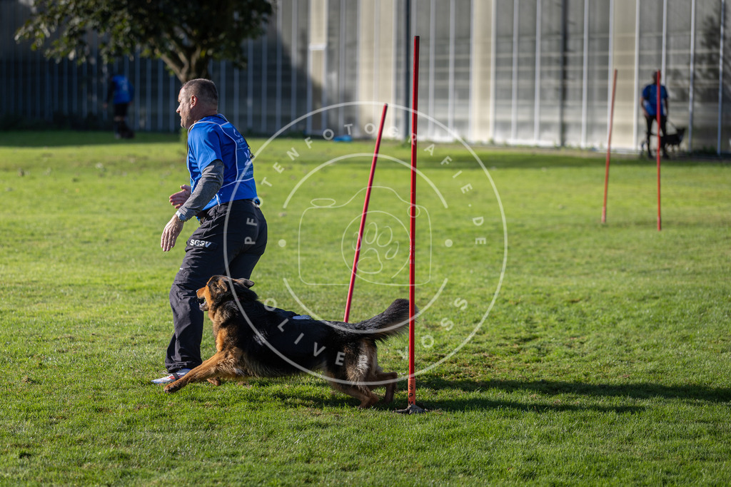 Pfotenfotografie.de_DV3A3323 | Hundefotografie, Tierfotograf, Pfotenfotografie, Fotoshooting Hund, Hunde Portrait, Hundesport, Hundeportraits, Heideshooting, Hunde, Sportfotograf, Hundefotograf, Turnierhundsport, THS, canicross - Realisiert mit Pictrs.com