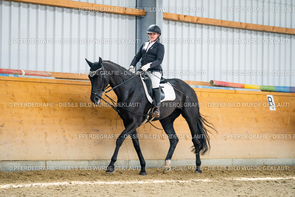 DSC04450 | Pferdegrafie