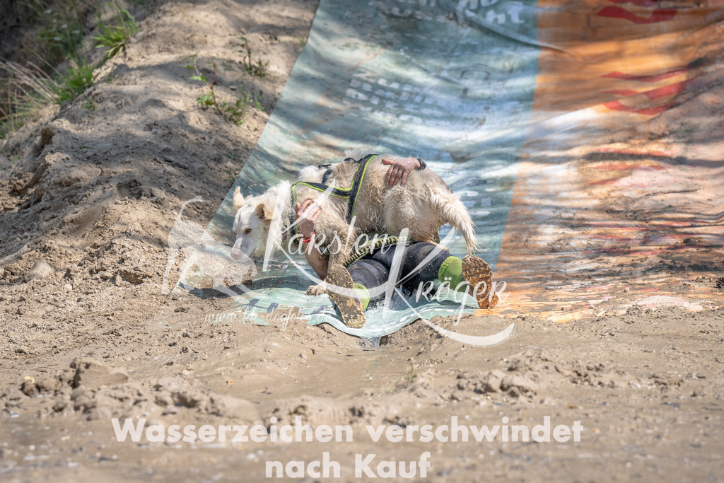 1203_ZZ91340 | kk-dogfotos