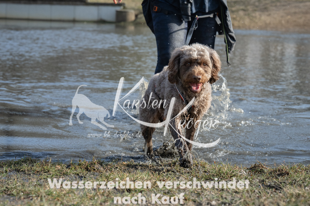 1351_ZZ98373 | kk-dogfotos