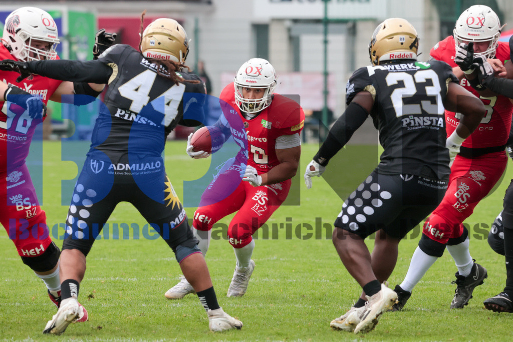 GFL: Paderborn Dolphins vs. New Yorker Lions{date} -  | {headline}(Foto: Sebastian Sendlak / BOND) - Realisiert mit Pictrs.com