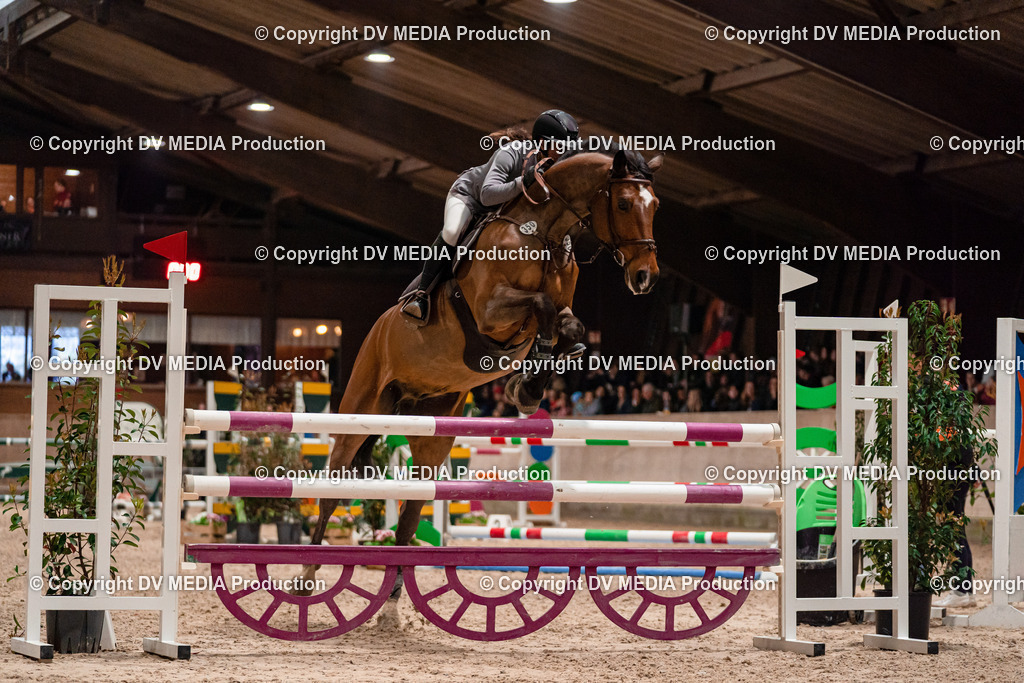 Springen Tag 2-742 | dv-media-shop - Realisiert mit Pictrs.com