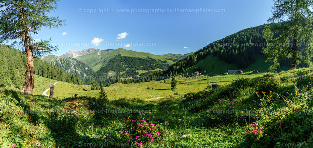 Loschboden Frühsommer copyright  Thomas Pfister-21 | PHOTOGRAPHY BY THOMAS PFISTER
