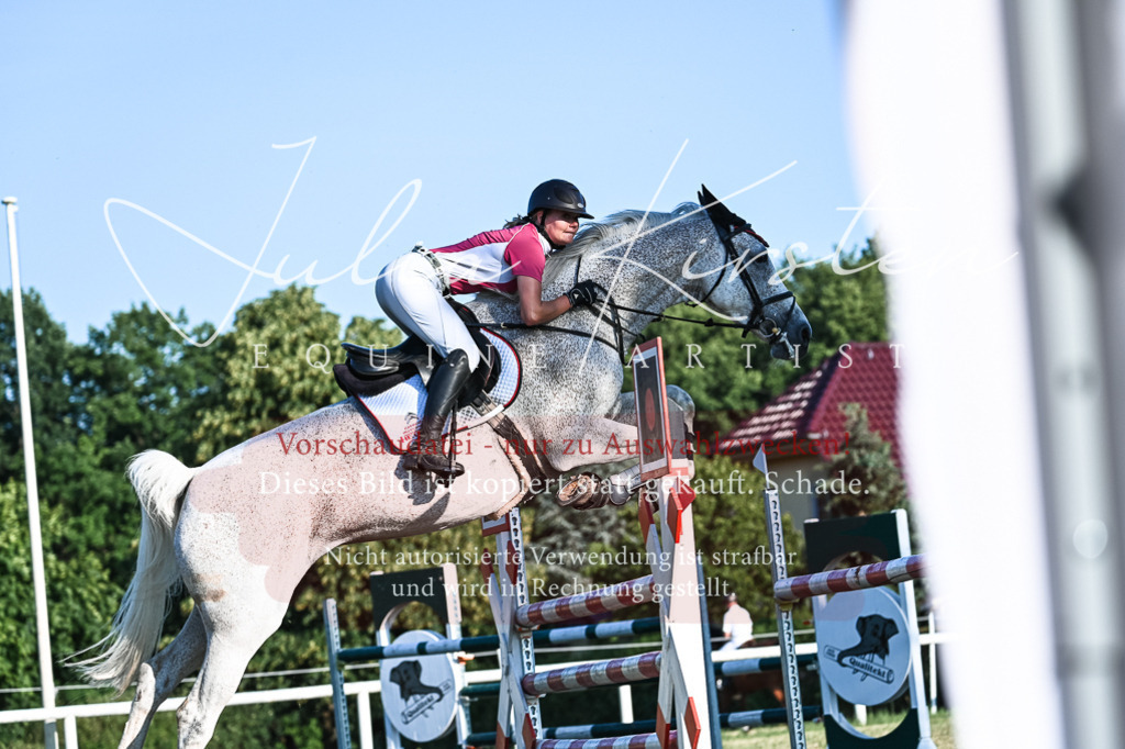 DSC_3129 | Pferde- und Turnierfotografie in Westsachsen. Pferdeportraits, Auftragszeichnungen und intuitive Kunst.