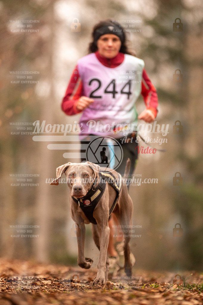 AKM_ST_2023_SAM_Run-145 | PayLife