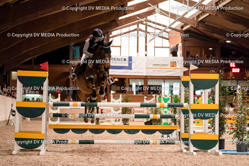 Springen Tag 1-528 | dv-media-shop - Realisiert mit Pictrs.com