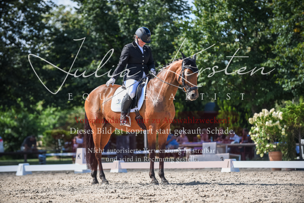 DSC_9624 | Pferde- und Turnierfotografie in Westsachsen. Pferdeportraits, Auftragszeichnungen und intuitive Kunst.