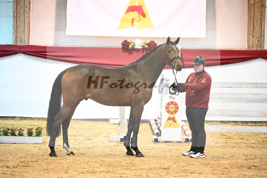Kat-Nr. 39 Million Capital HH x Ragazzo_Wilbers_43231109 | hf-fotografie - Realisiert mit Pictrs.com