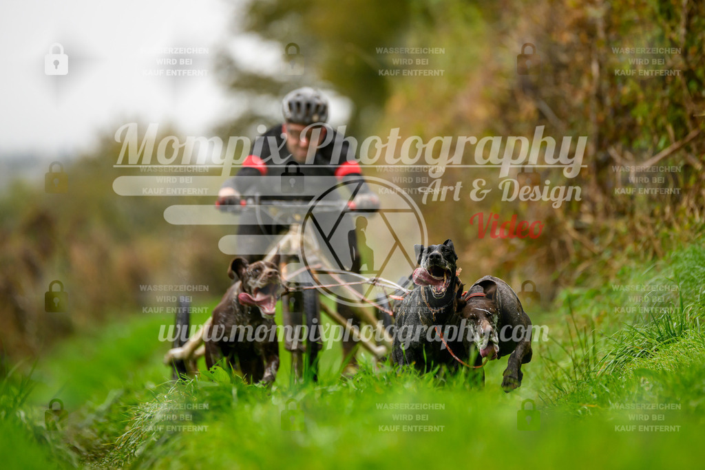 MompixPhotography_20TSB_E8_Kart-6 | PayLife