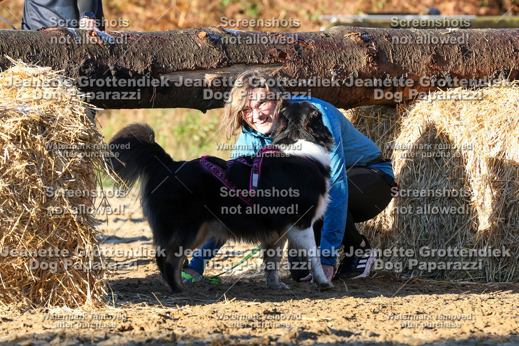 Dog Paparazzi - Strongdog 10-25-947 | Dog Paparazzi Jeanette Grottendiek Fotografie & Videografie - Realisiert mit Pictrs.com