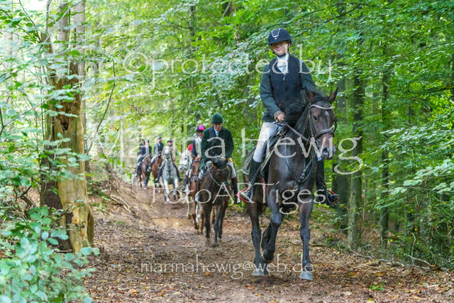Jagd Perdoel_MarinaHewigMCH04711 | Fotografie, FotoArt, PferdesportArt, Pferdesportfotografie, Landschaftsfotografie, Reisefotografie, Reise, Pferde - Realisiert mit Pictrs.com