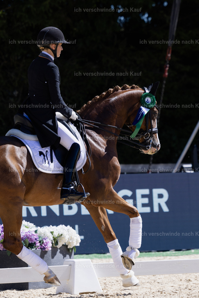 FHC2026_P12_Siegerehrung_19360 | working equitationturnier fotograf videograf stoibphotography marixx film working equitation deutschland reitsport turnierfotografie eventfotografie equestrian events