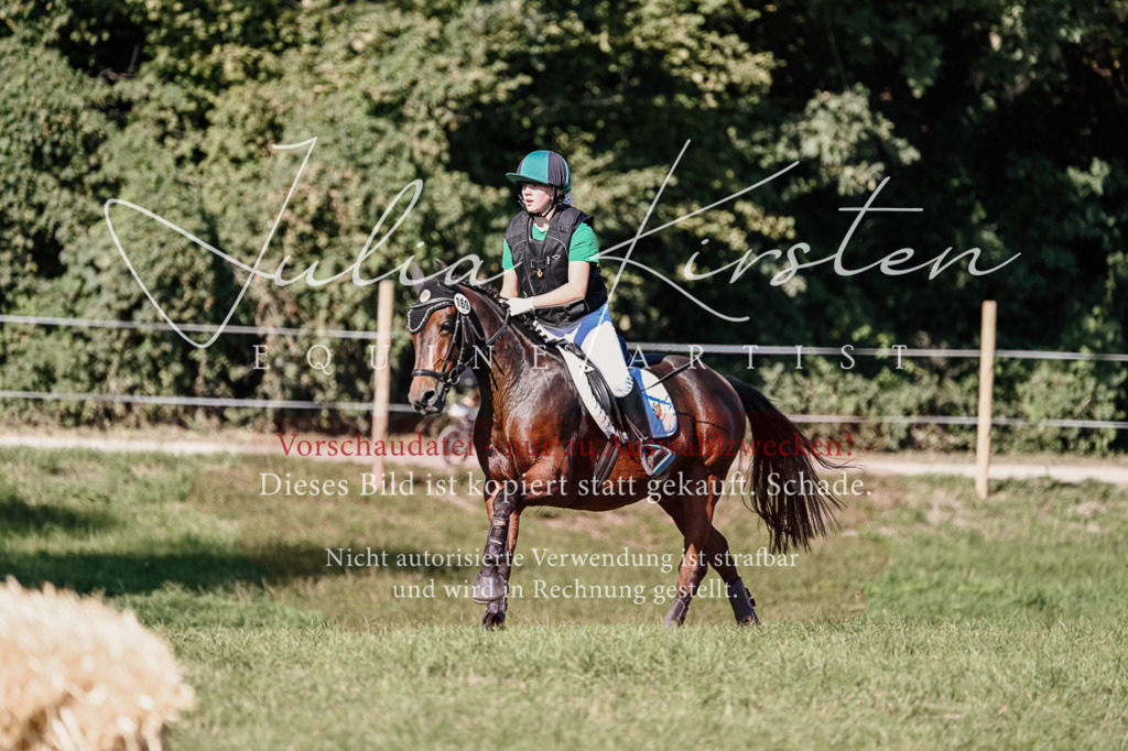 DSC_3622 | Pferde- und Turnierfotografie in Westsachsen. Pferdeportraits, Auftragszeichnungen und intuitive Kunst.