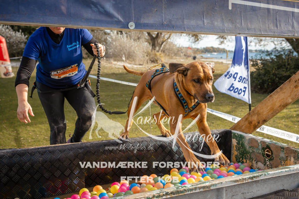 1500_ZZ95539-2 | kk-dogfotos