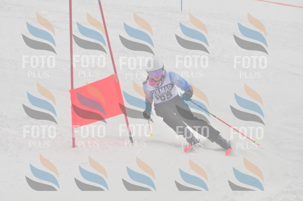 A5605 | holidayphoto