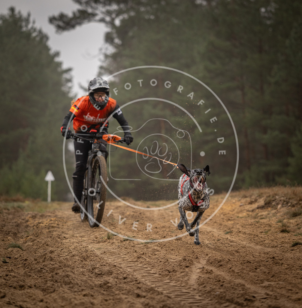 Pfotenfotografie_DV3A2640 | Hundefotografie, Tierfotograf, Pfotenfotografie, Fotoshooting Hund, Hunde Portrait, Hundesport, Hundeportraits, Heideshooting, Hunde, Sportfotograf, Hundefotograf, Turnierhundsport, THS,  - Realisiert mit Pictrs.com