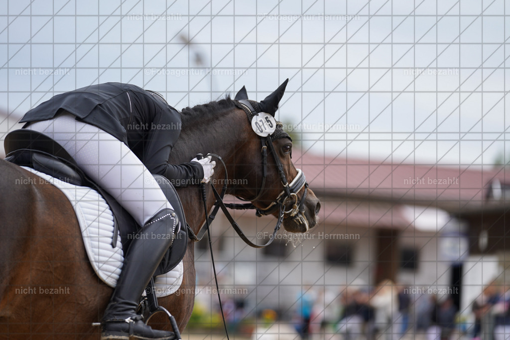 20240825-FAH00137 | Turnierbilder, Reitsportfotos, LAPO, Landesponyturnier, Turnierfotografen Bayern