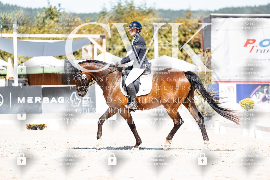 CK909373 | Turnierfotografie Pferdefotografie Trier Rheinland-Pfalz Pferdesport Reitsport Tierfotografie Sportfotografie Pferdevideo Pferdevideografie Equestrianvideography equestrianphotography  - Realisiert mit Pictrs.com