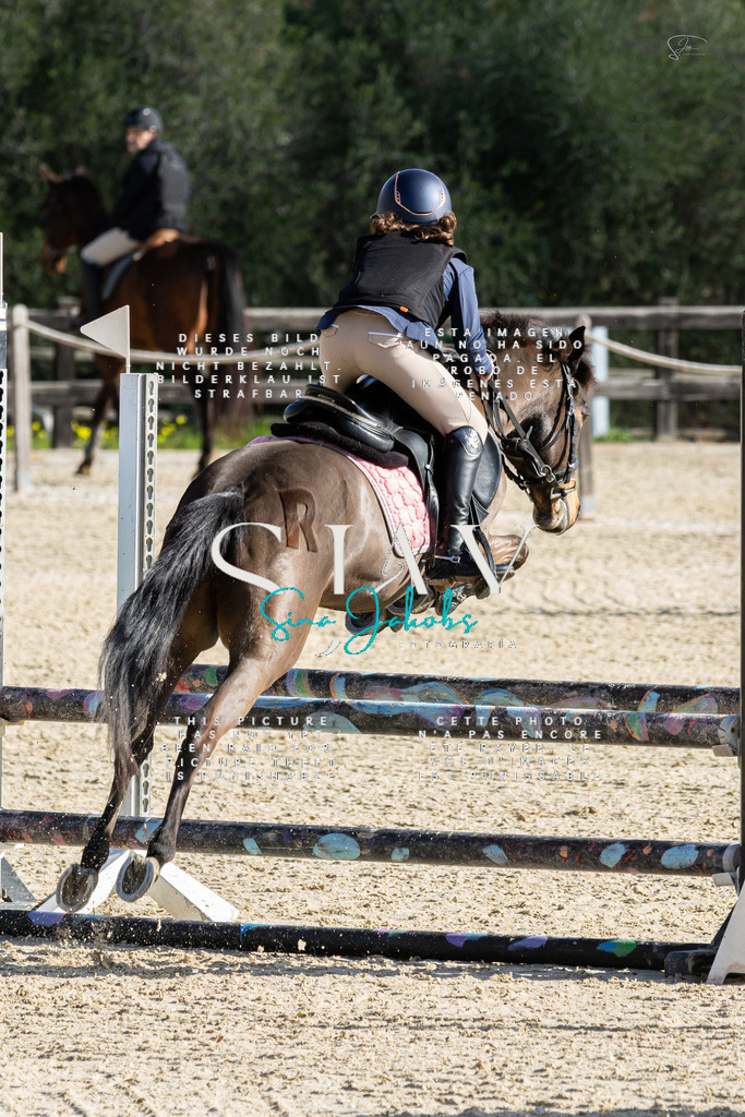 IMG_3574 | s-jay-photography - Realisiert mit Pictrs.com