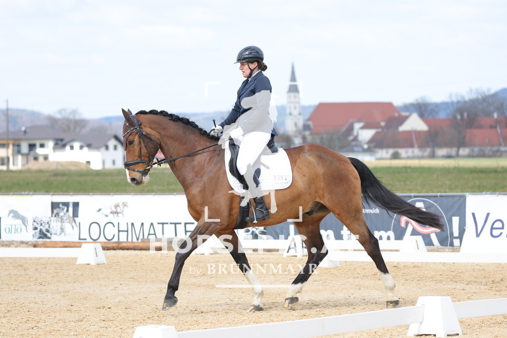 0P6A7390 | Willkommen bei Brunnmayr - Design & Fotografie – Ihrem Spezialisten für Reitturniere und Pferdeveranstaltungen in Oberösterreich, Salzburg und Bayern! Seit über 17 Jahren sind wir leidenschaftlich dabei.