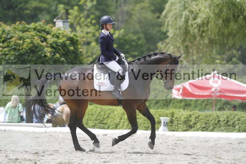 _MG_9587 | equestrian-live-com