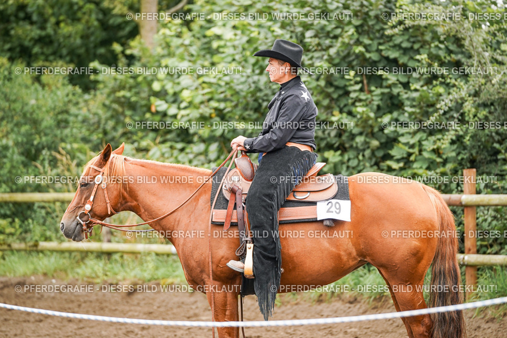 DSC03378 | Pferdegrafie