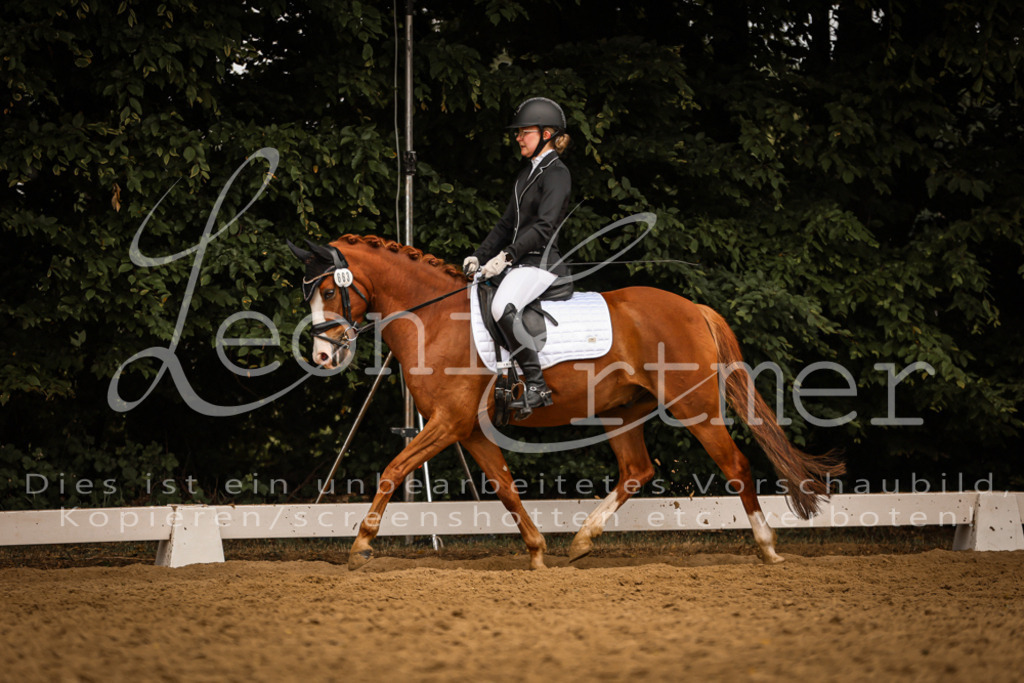 DoDrE00504 | Leoni Ertmer Photography - Realisiert mit Pictrs.com