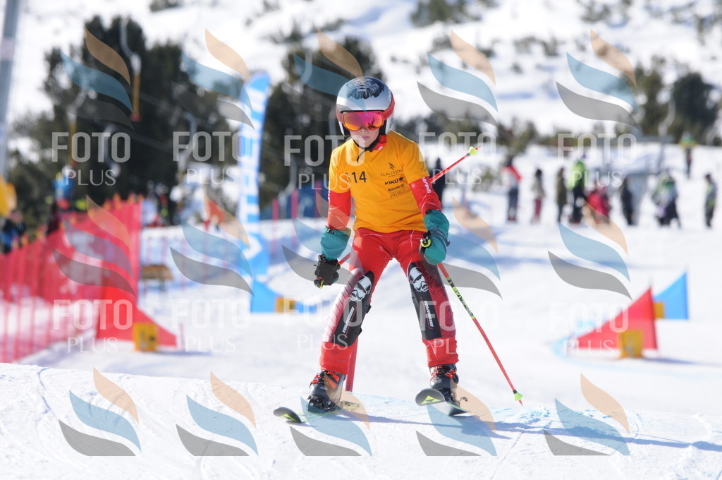 C7133 | holidayphoto