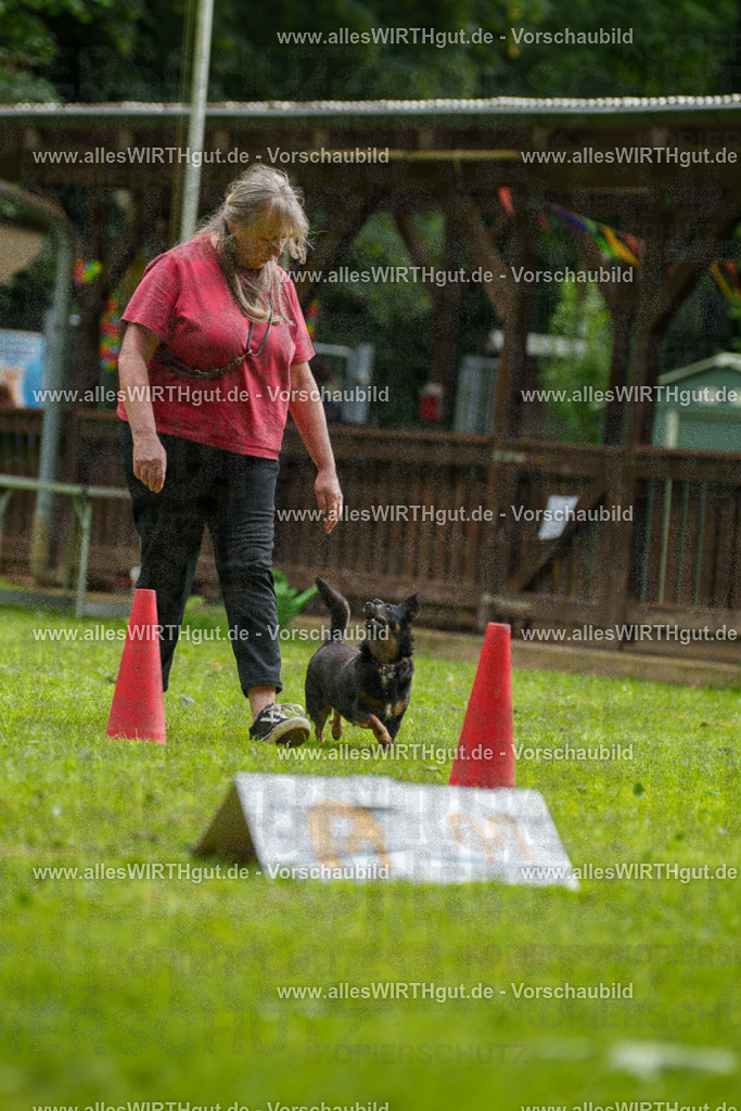 @allesWIRTHgut_Tierfotografie - www.allesWIRTHgut.de - 090301-7R506448 | Professionelle Tierfotografie in Mönchengladbach von Daniel Wirth (allesWIRTHgut). Liebevolle & natürliche Bilder von Hunden & Katzen für unvergessliche Erinnerungen.