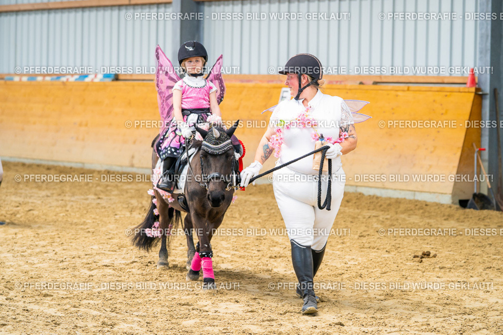 DSC00314 | Pferdegrafie