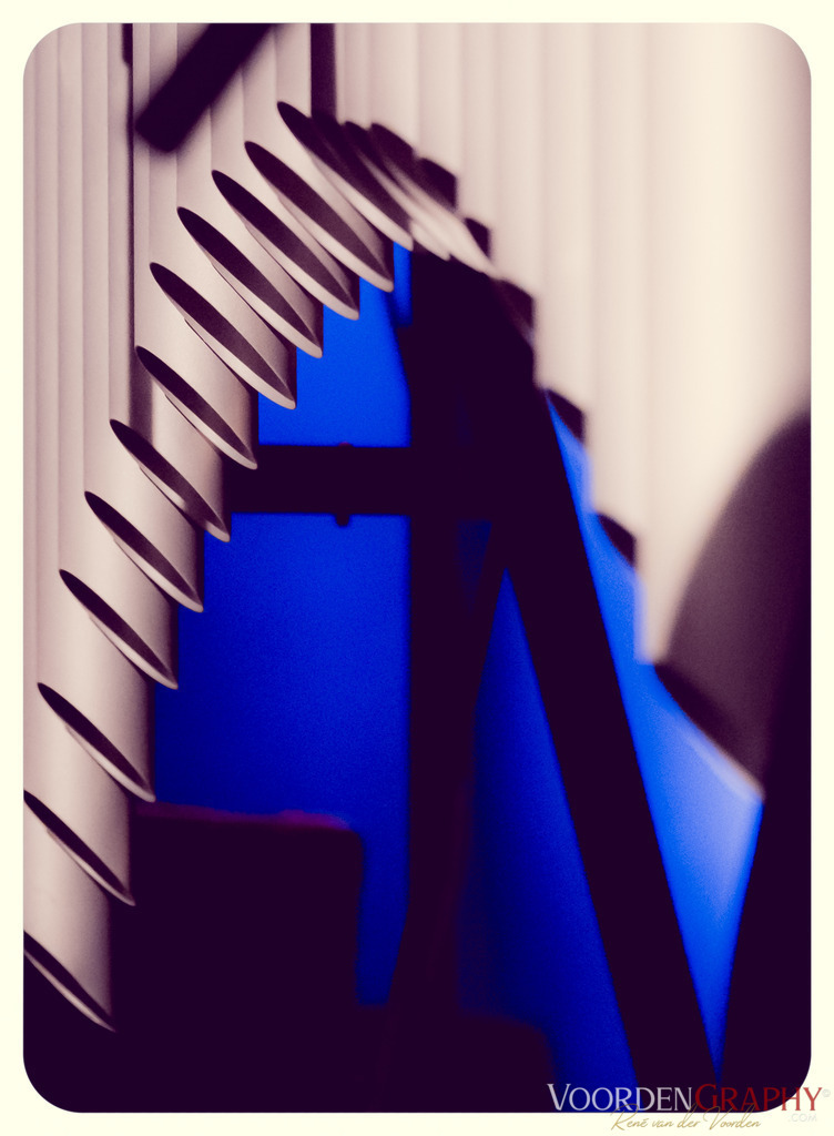 2021 Quadro Nuevo @ Alte Feuerwache Mannheim | VoordenGraphy Fotos - Realisiert mit Pictrs.com