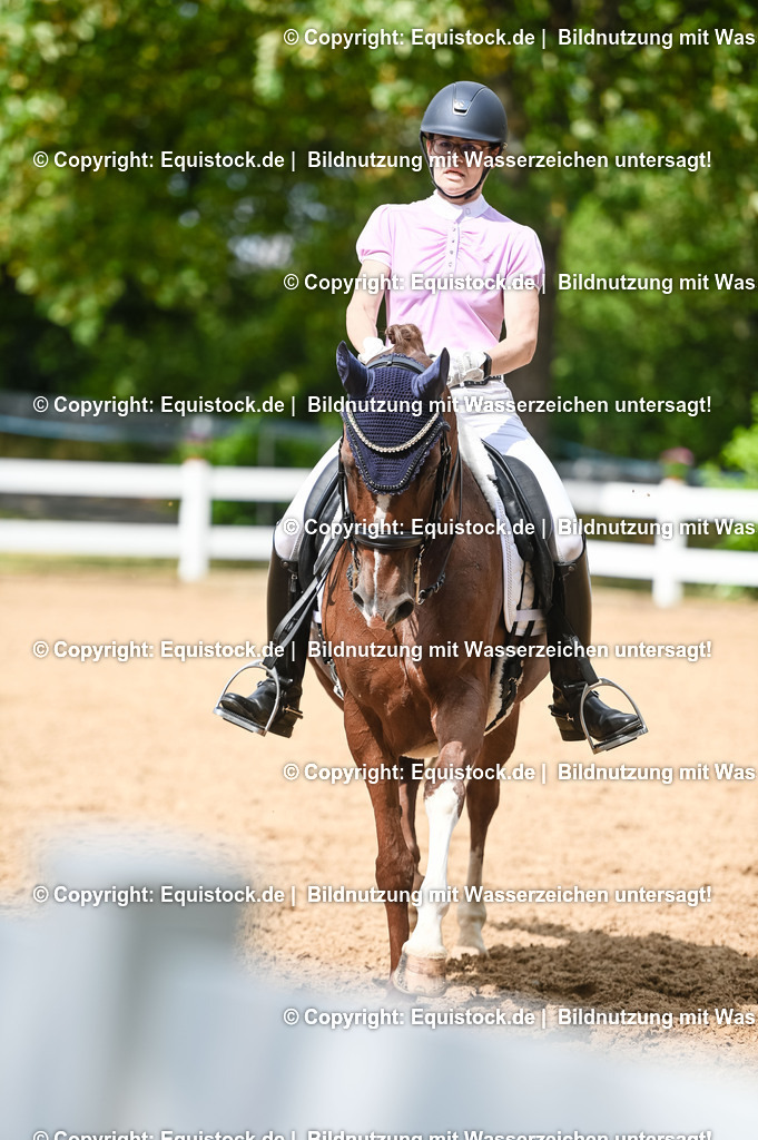 20230716_01_Dressurprüfung Kl.M_0386 | equistock