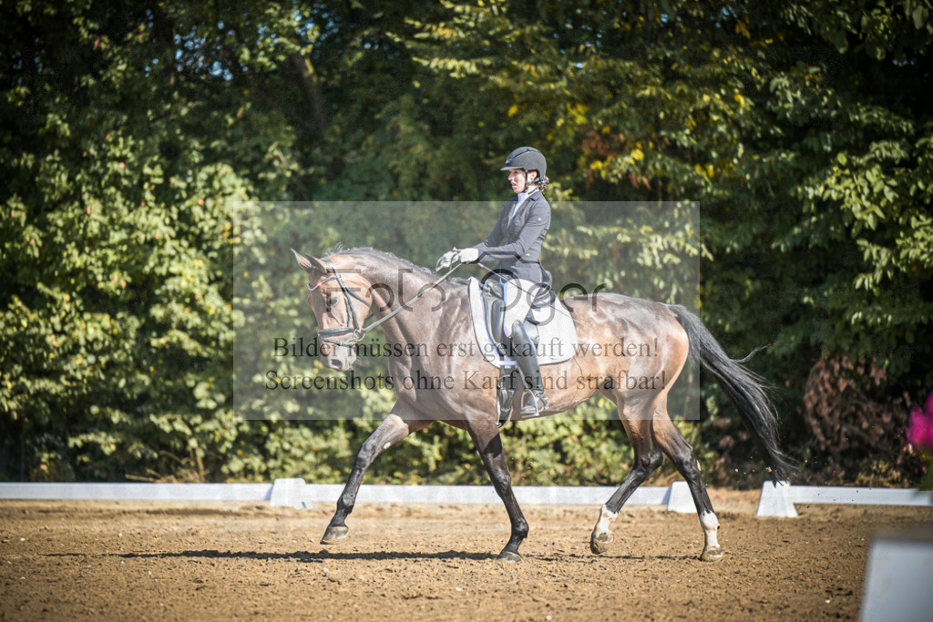 DOS_3268 | Entdecke hochwertige Reitturnierfotos von Foto Oger. Professionell, emotional und authentisch – jetzt Lieblingsmomente im Shop bestellen.Deutschlandweite Turnierfotografie. - Realisiert mit Pictrs.com