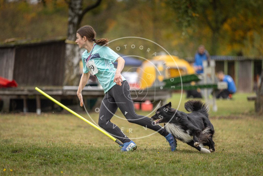 Pfotenfotografie_DV3A4895 | Hundefotografie, Tierfotograf, Pfotenfotografie, Fotoshooting Hund, Hunde Portrait, Hundesport, Hundeportraits, Heideshooting, Hunde, Sportfotograf, Hundefotograf, Turnierhundsport, THS,  - Realisiert mit Pictrs.com