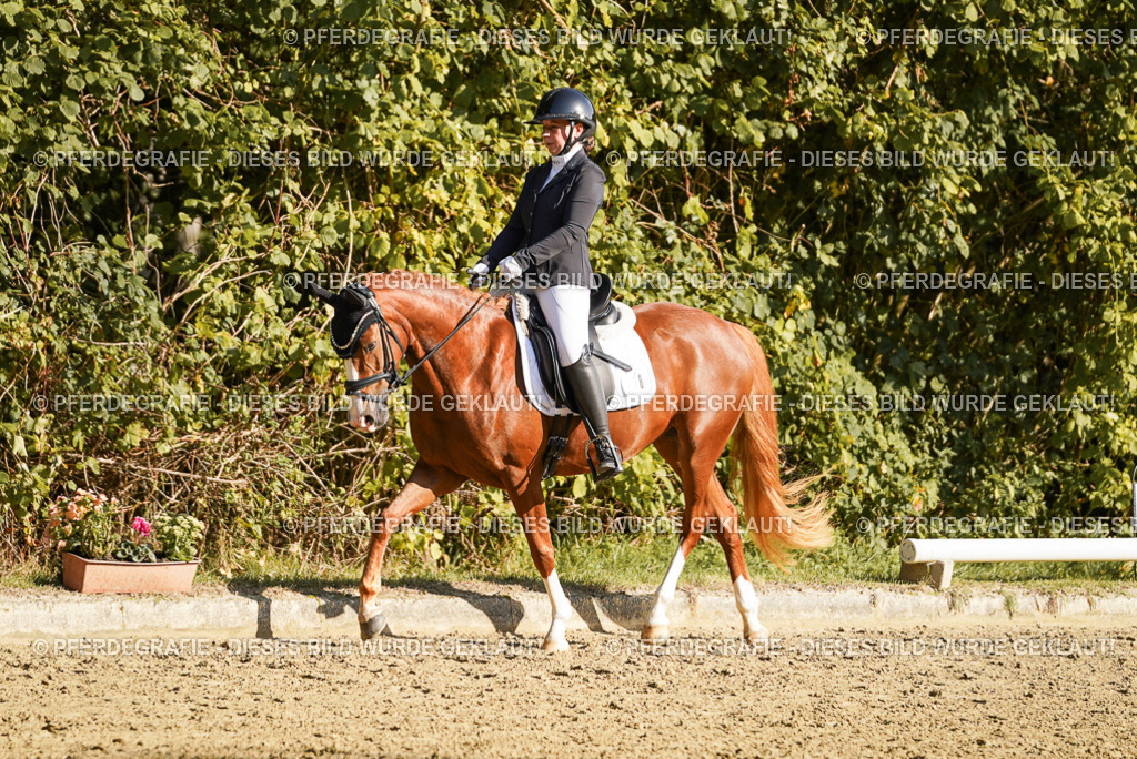 DSC06151 | Pferdegrafie