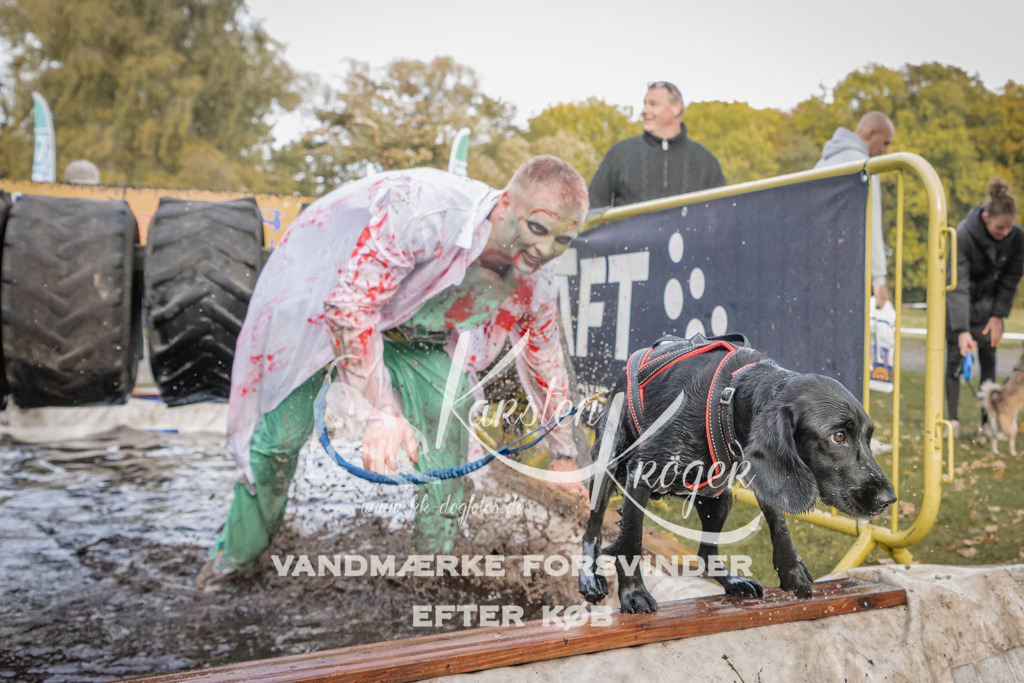 1458_ZZ90764 | kk-dogfotos