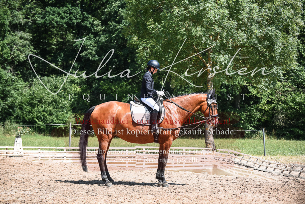 DSC_2978 | Pferde- und Turnierfotografie in Westsachsen. Pferdeportraits, Auftragszeichnungen und intuitive Kunst.