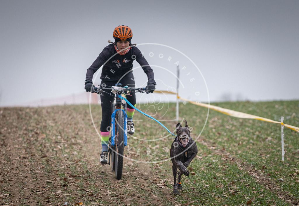 Pfotenfotografie_DV3A1015 | Hundefotografie, Tierfotograf, Pfotenfotografie, Fotoshooting Hund, Hunde Portrait, Hundesport, Hundeportraits, Heideshooting, Hunde, Sportfotograf, Hundefotograf, Turnierhundsport, THS,  - Realisiert mit Pictrs.com